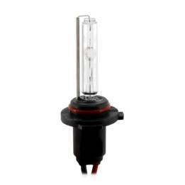 Becuri Auto, BEC XENON H10-4300K -1, dioda.ro
