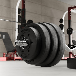 disc greutate compozit set 4 x 1.25 kg  rebel active