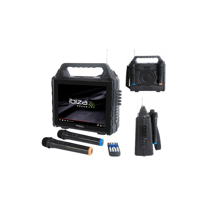 set portabil karaoke cu ecran incorporat 14.1" si 2 mic wireless