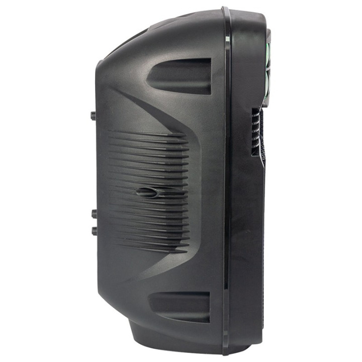 boxa portabila 8"/20cm cu usb/sd/bt/fm