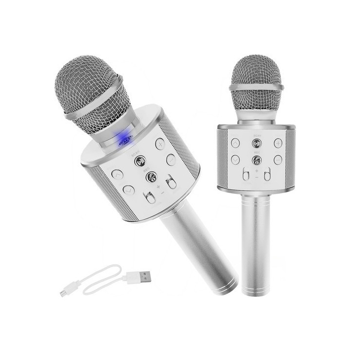 microfon karaoke - argintiu izoxis 22188