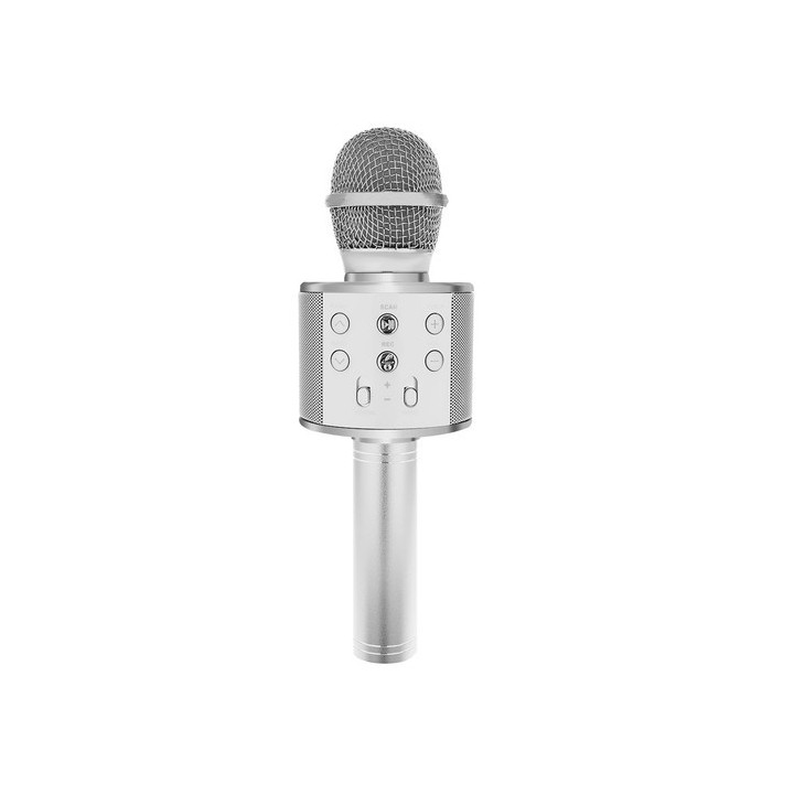 microfon karaoke - argintiu izoxis 22188