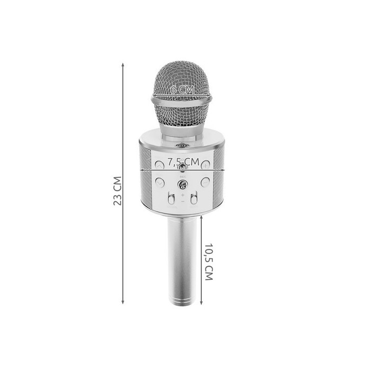 microfon karaoke - argintiu izoxis 22188