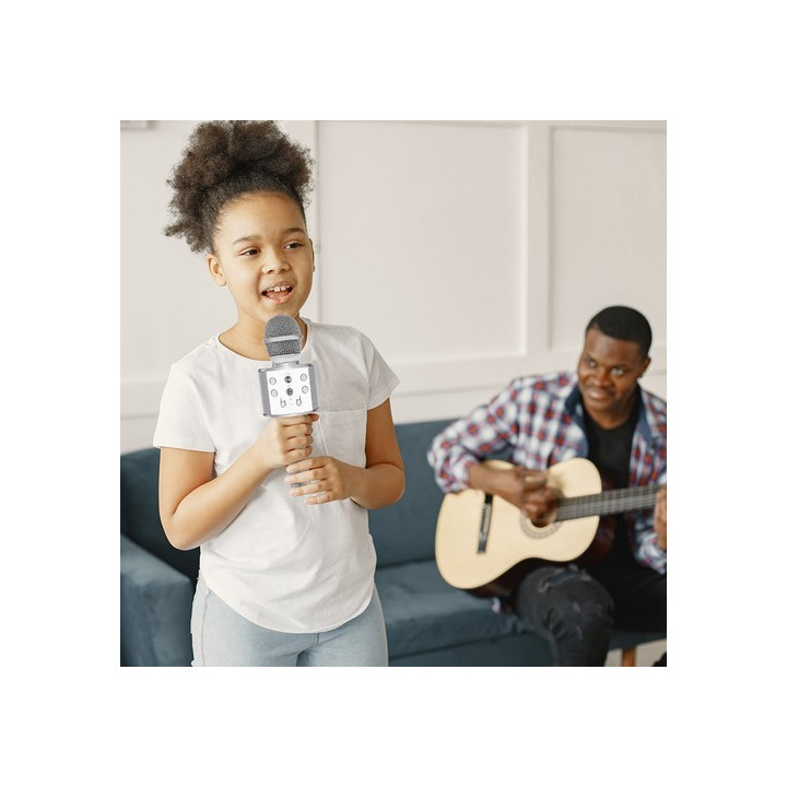 microfon karaoke - argintiu izoxis 22188