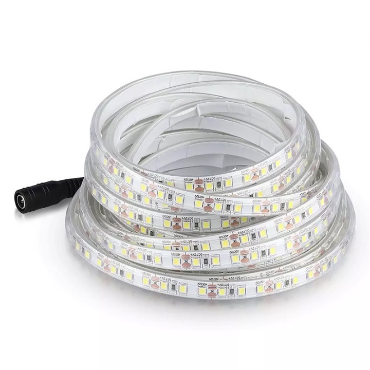 banda led smd3528 120led/m 6400k ip65 5m