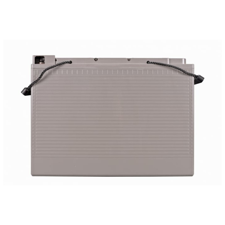 victron energy agm telecom battery 12v/115ah (m8)