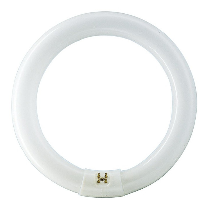 Tub Fluorescent, Tub Fluorescent Circular TL-E 22W, 865 -1, dioda.ro