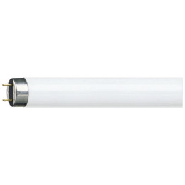 Tub Fluorescent, Tub Fluorescent TL-D 36W Snow White     -1, dioda.ro