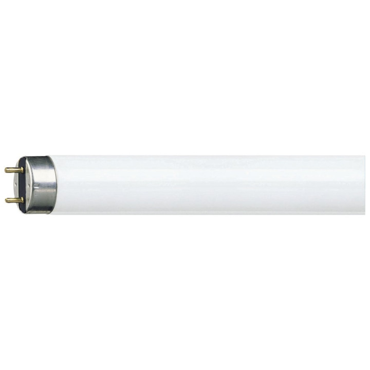Tub Fluorescent, Tub Fluorescent TL-D 36W Snow White     -1, dioda.ro